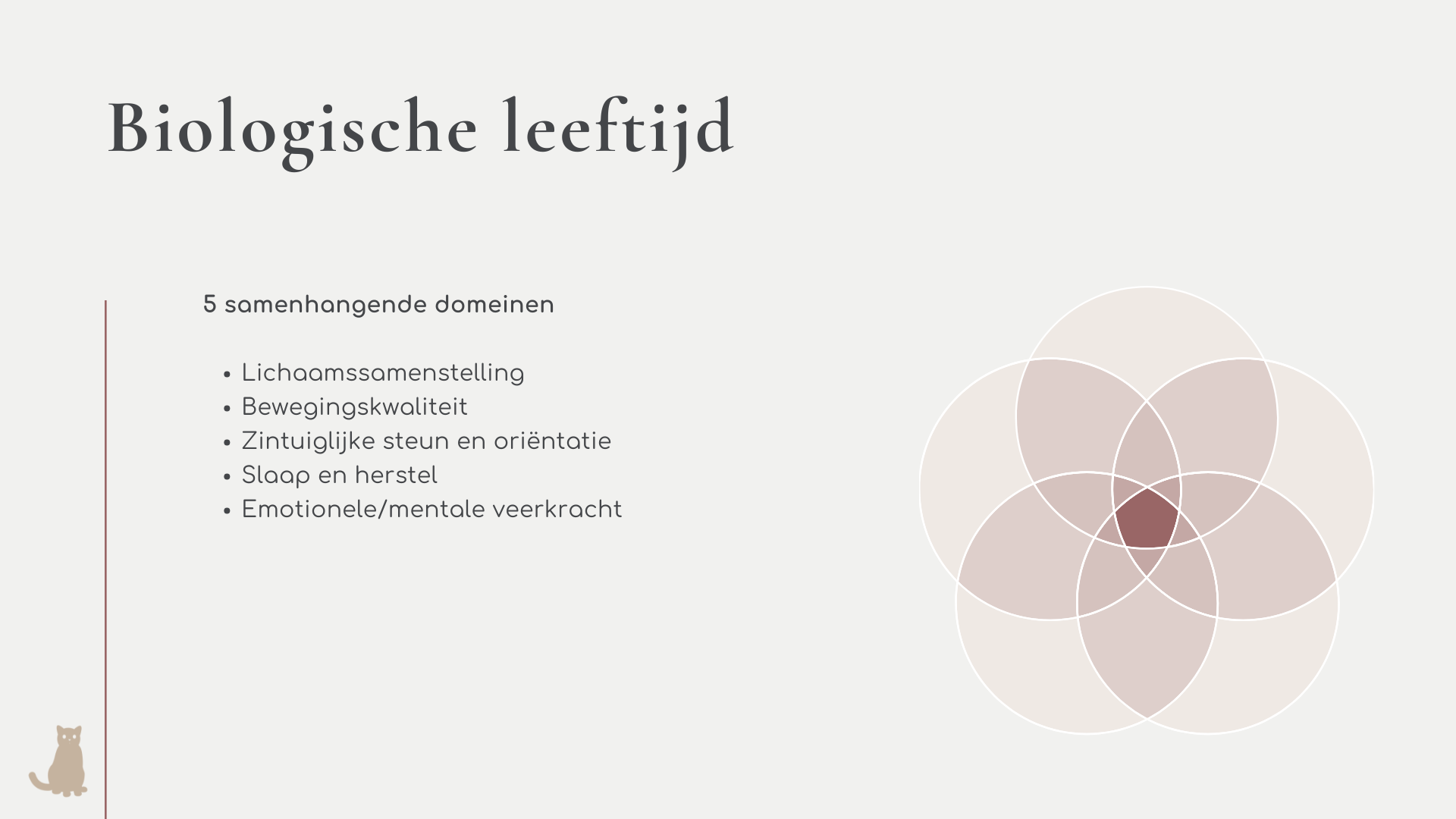 Cursus de senior kat